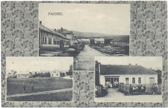 parnik008