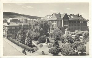 gymnazium024