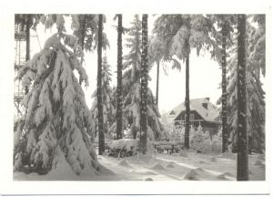 kozlovsky kopec 015