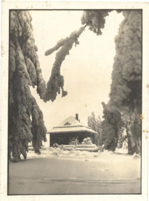 kozlovsky kopec 016