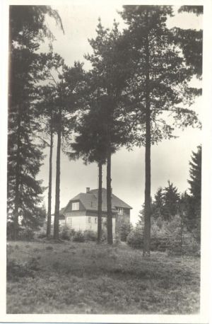 kozlovsky kopec 018