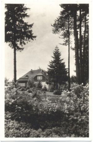 kozlovsky kopec 019