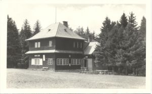 kozlovsky kopec 020