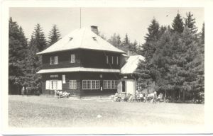 kozlovsky kopec 021