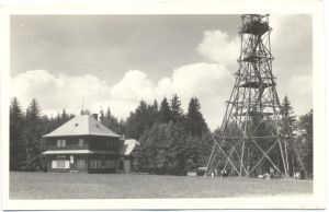 kozlovsky kopec 022